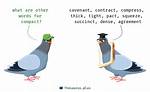 Compact Synonym