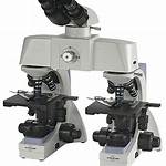 Comparison Microscope