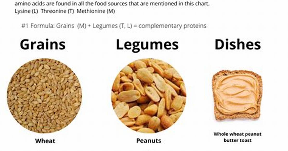 Complementary Proteins