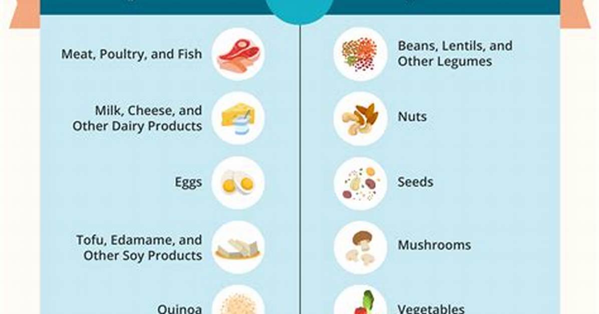 Complete Protein Definition