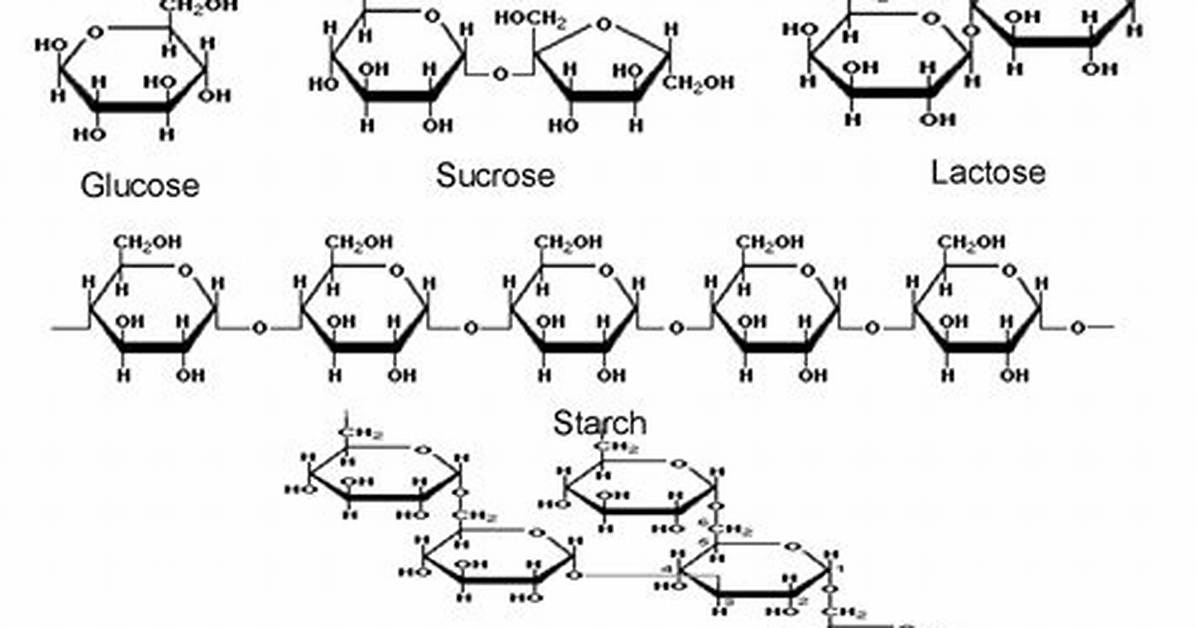 Complex Sugars
