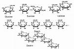 Complex Sugars
