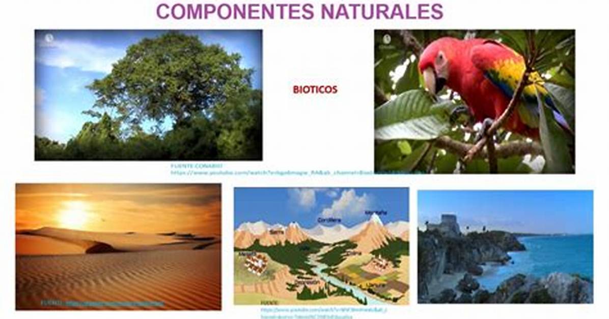 Componentes Naturales Ejemplos