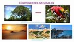 Componentes Naturales Ejemplos