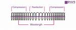 Compressional Wave