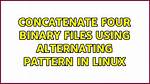 Concatenate Four Binary Files Using Alternating Pattern in Linux