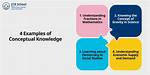 Conceptual Knowledge