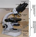 Condenser on Microscope