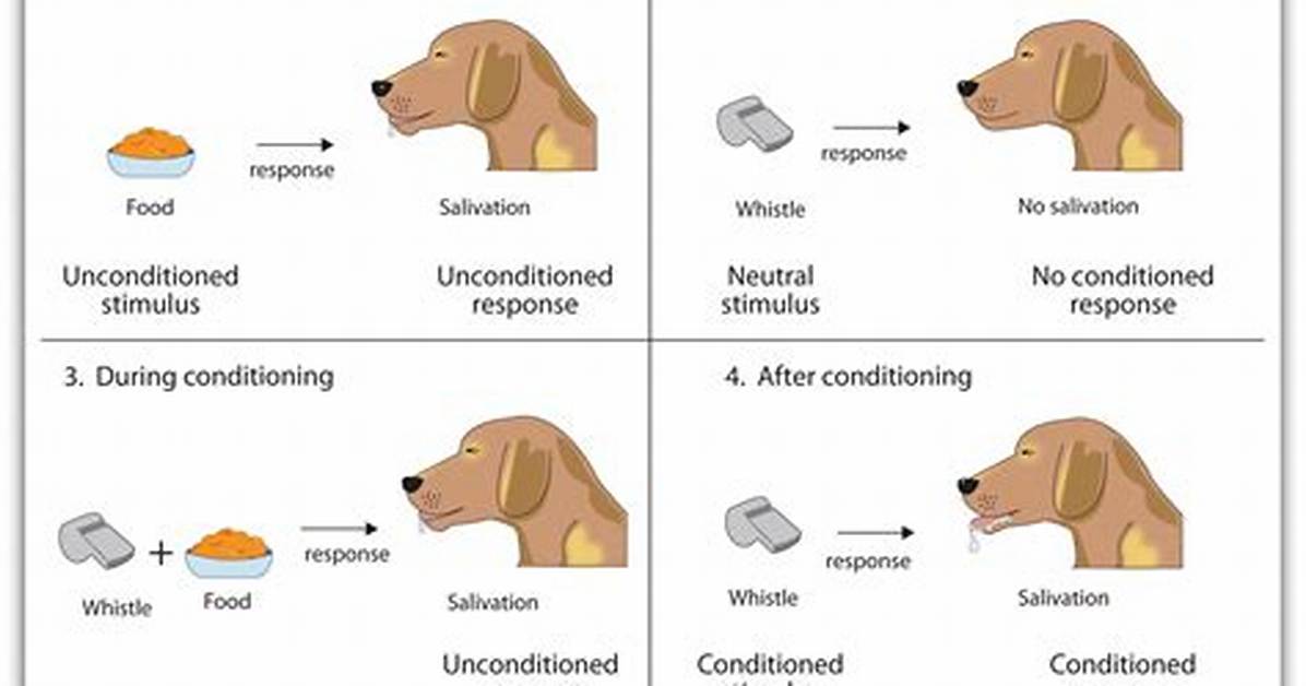 Conditioned Stimulus Example