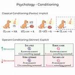 ___ Conditioning