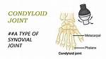 Condyloid Joint Example