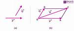 Confusion with Parallel Vector Definition.