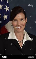 Congressional Assistant
