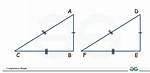 Congruent Examples