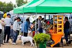 Connecting Locals in a Thriving Market