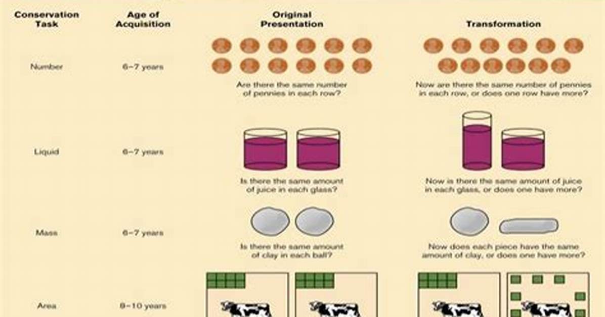 Conservation Task Piaget