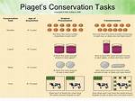 Conservation Task Piaget