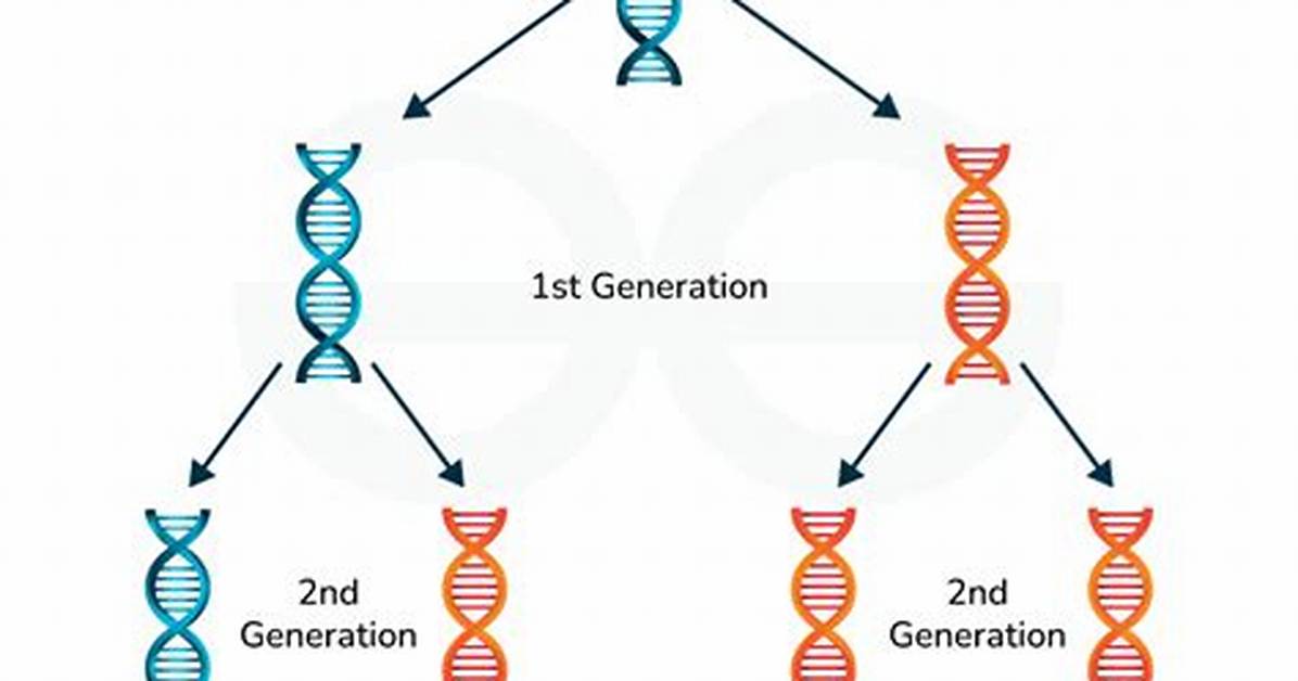 Conservative Dna Replication