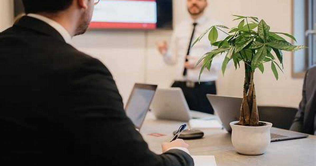 Consultations & Training