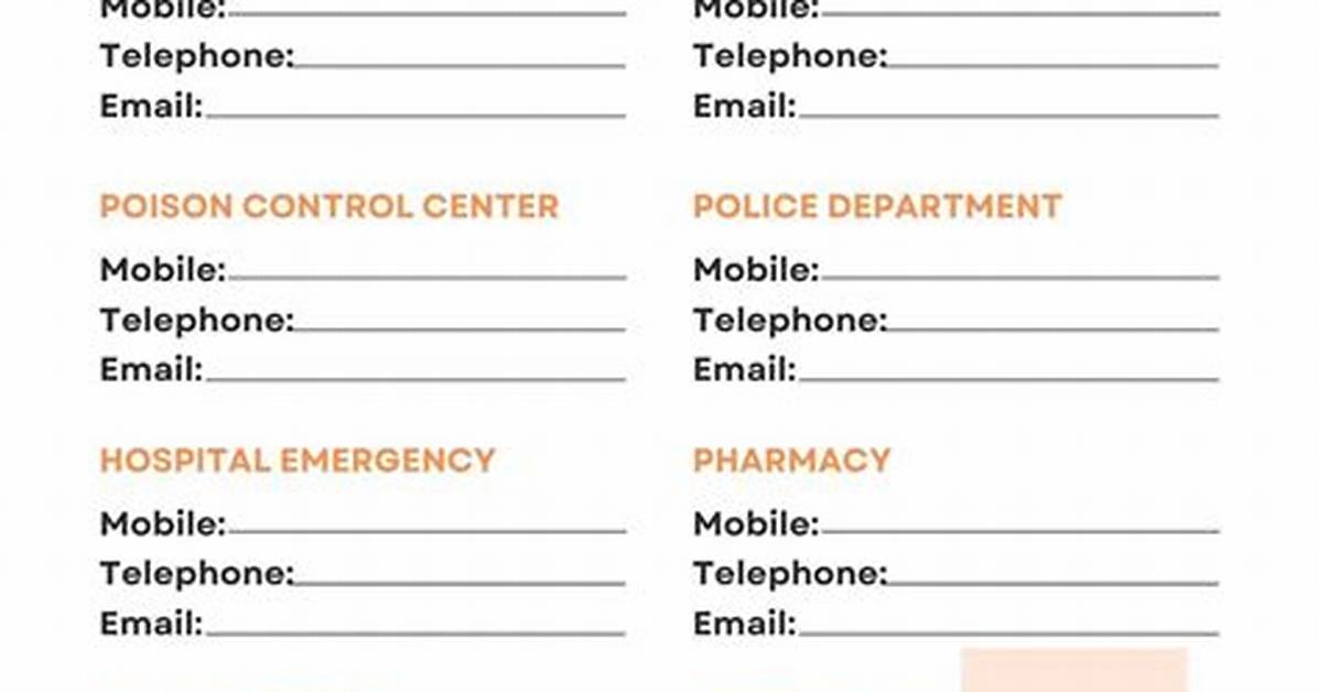 Contact Information