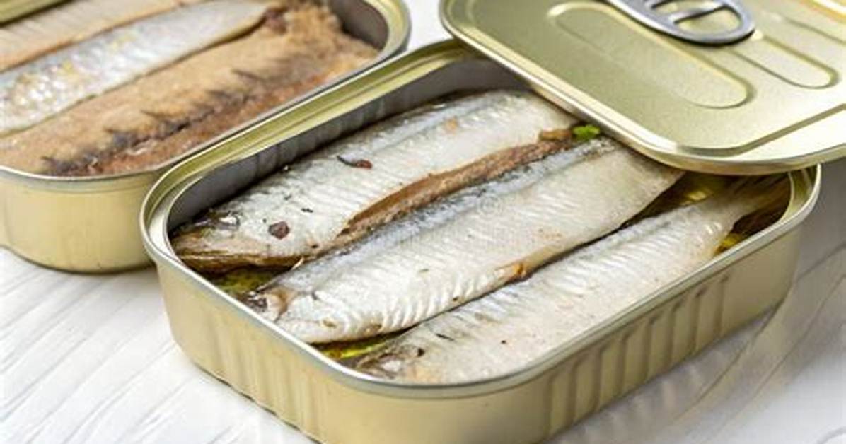 Container for Sardines