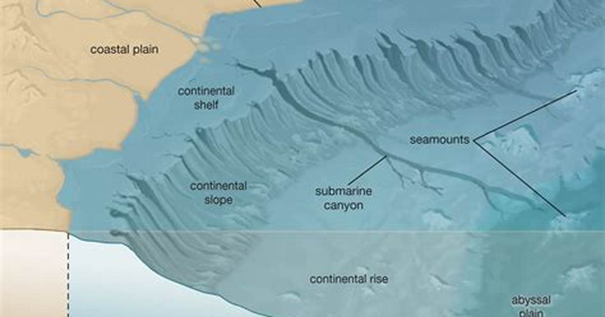 Continental Margin