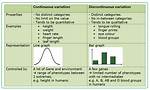 Continuous Variation