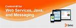 Control-M for Web Services, Java, and Messaging Deployment Service