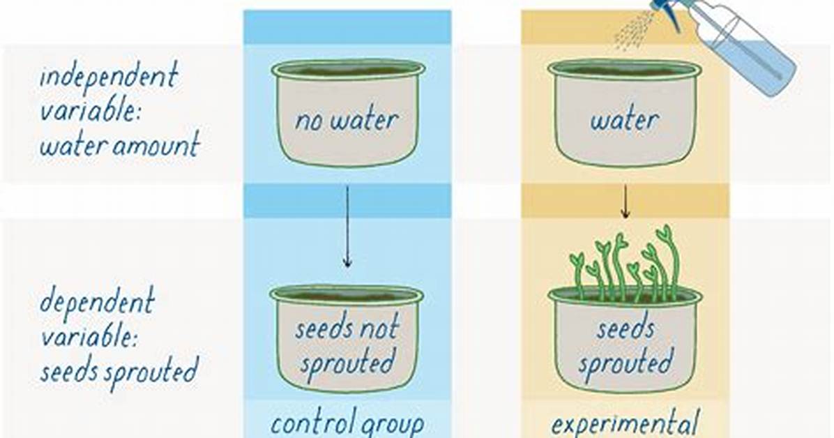 Controlled Experiment Definition
