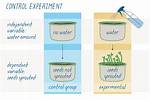 Controlled Experiment Examples