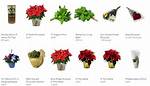 Convenience at Your Doorstep: Aldi Flower Delivery Through Instacart