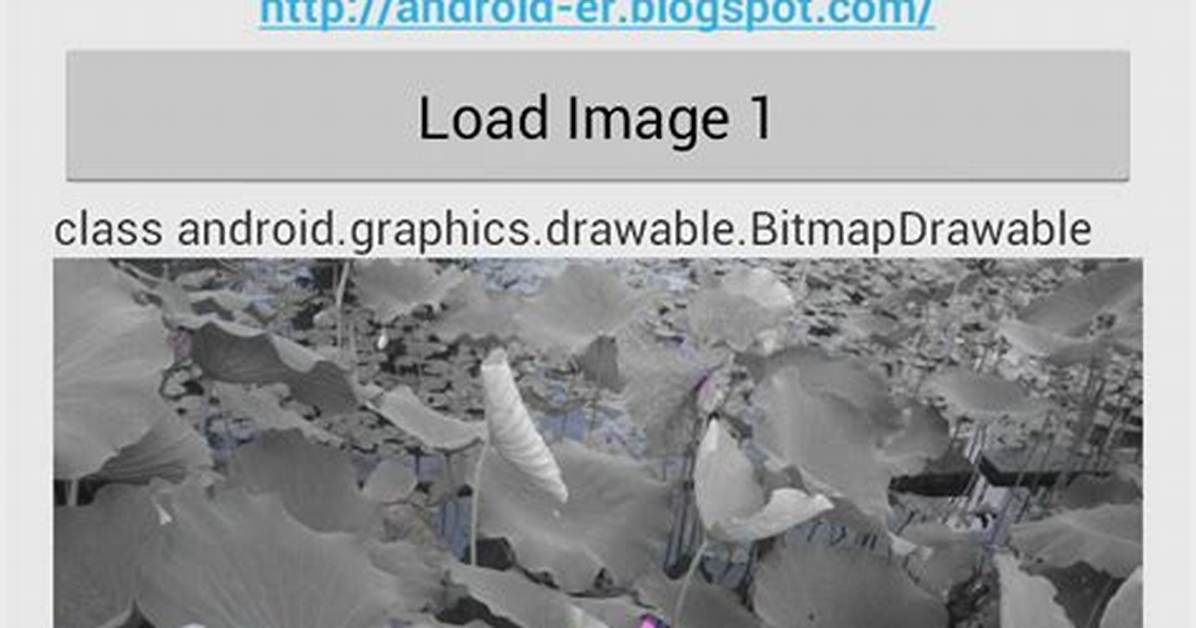 Convert Android. Graphics. Bitmap to Image