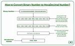 Convert Hexadecimal to Binary Number