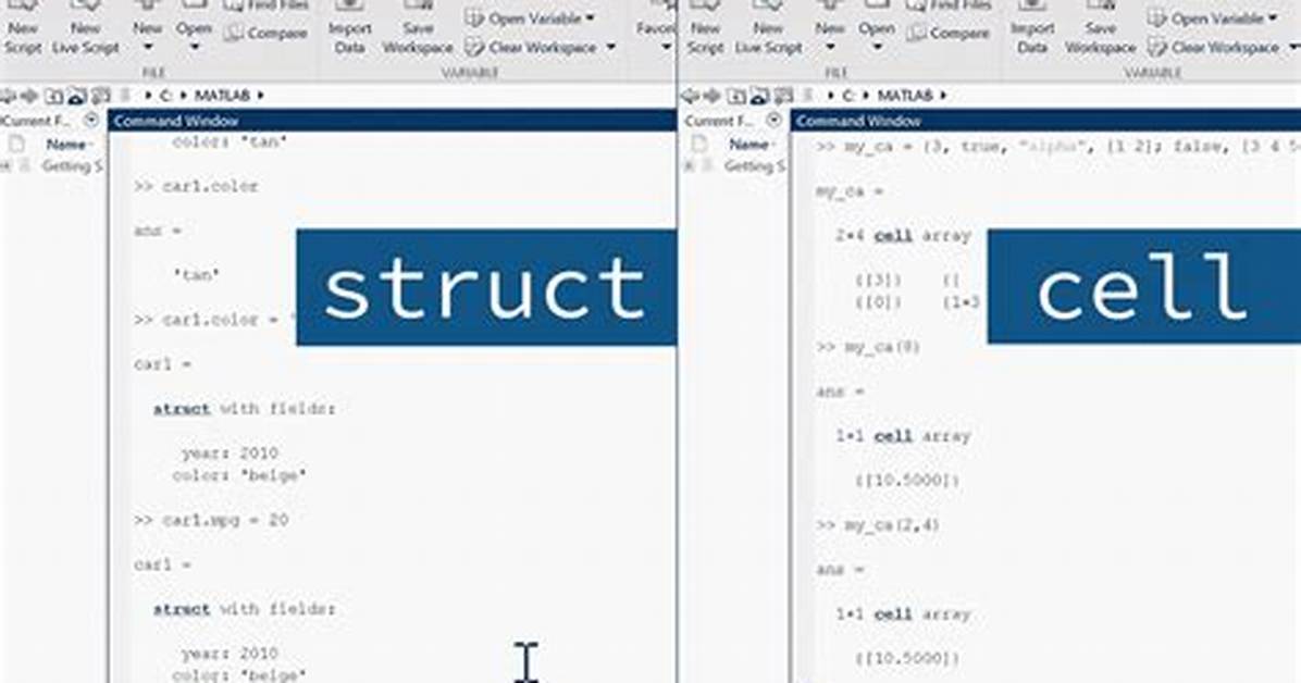 Convert Matlab Struct Array to Cell Array