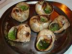 Cooked Snails
