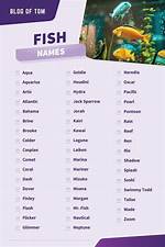 Cool Fish Names