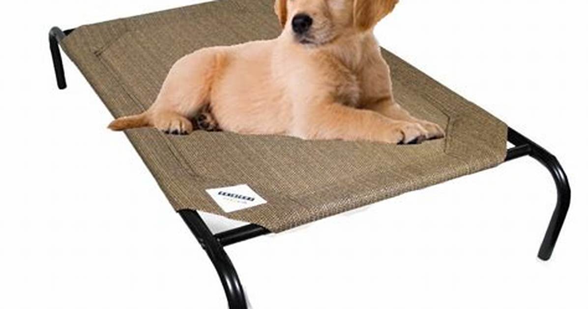 Coolaroo Dog Bed