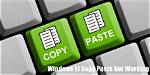 Copy and Paste Does Not Work with Free-Selection Tool in Gimp