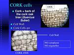 Cork Cells