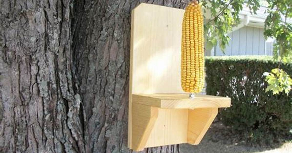 Corn Squirrel Feeder