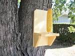 Corn Squirrel Feeder