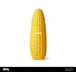 Corncob ___