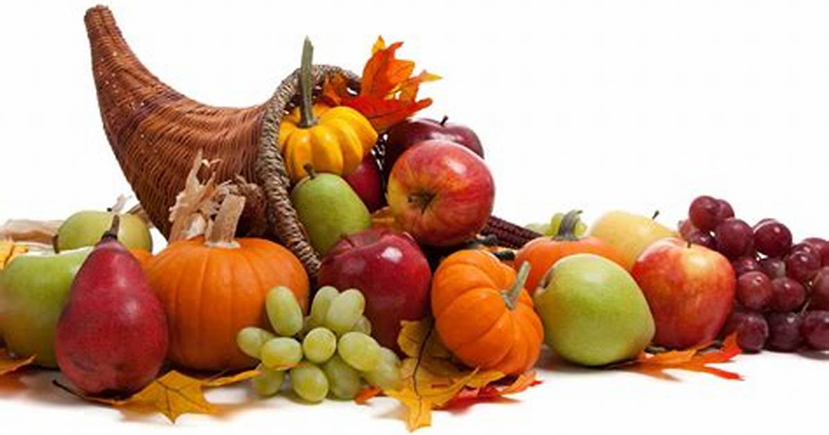 Cornucopia Definition