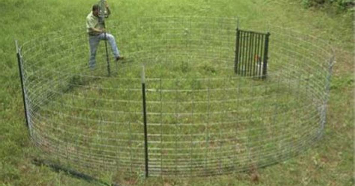 Corral for Pigs