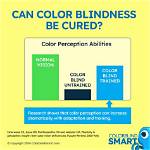 Could Blindness Be Cured?