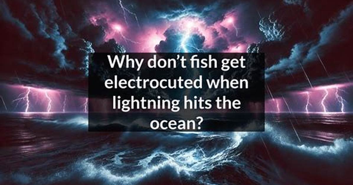 Could Fish Get Electrocuted?