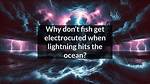 Could Fish Get Electrocuted?