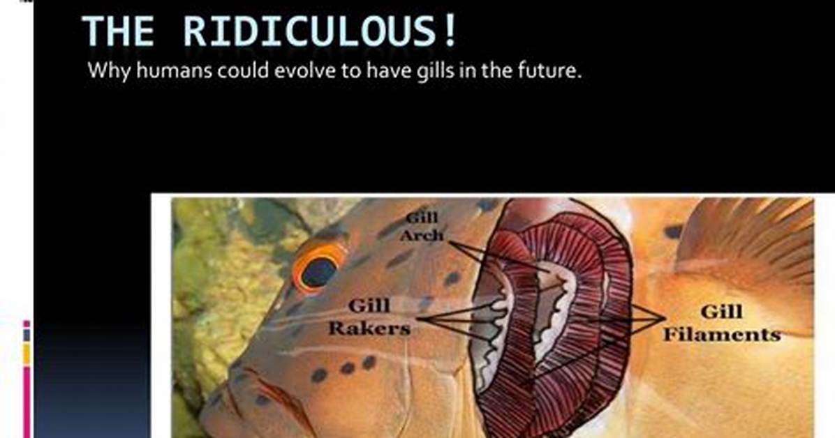 Could Humans Develop Gills?