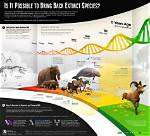 Could Scientists Clone Extinct Animals?