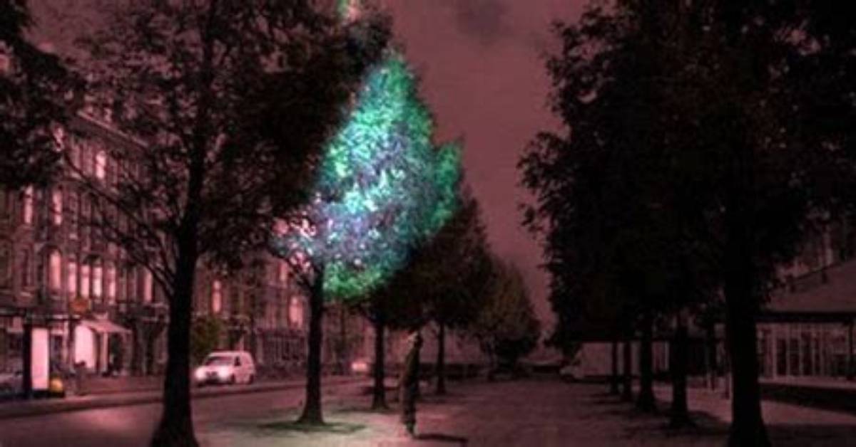 Could Trees Replace Street Lights?